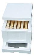 Mini Plus stade